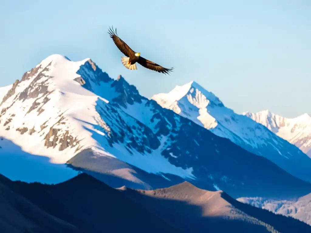 Aves migratorias alterando patrones sobre montañas nevadas al atardecer