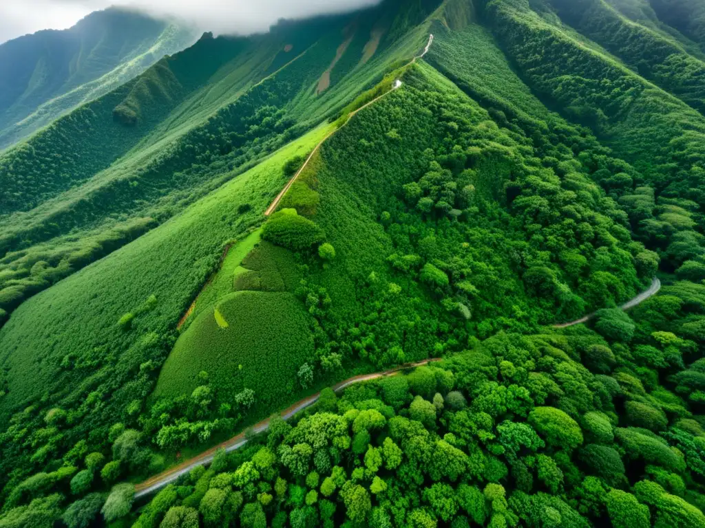 Deslizamiento de tierra: impacto en la montaña Imponente deslizamiento de tierra en montaña verde